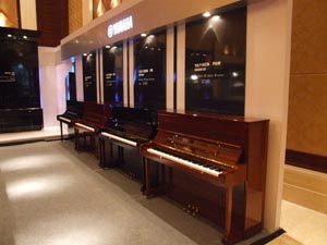 2009年雅马哈钢琴管乐重要经销商大会圆满举行 