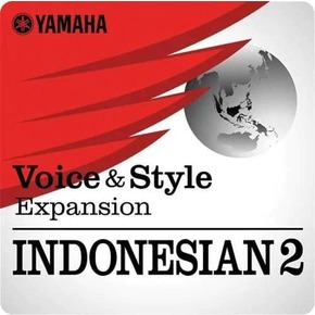 印度尼西亚2