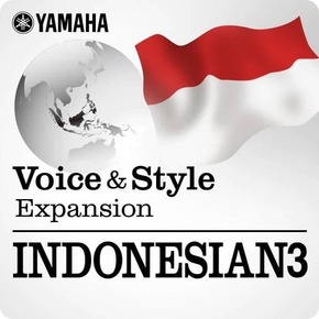 印度尼西亚3