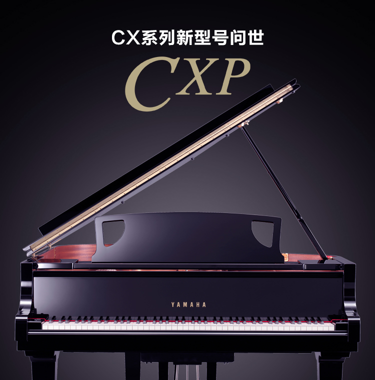 CX系列